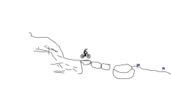 my first trials