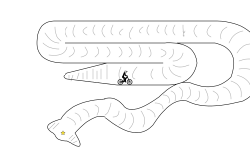 The Snake