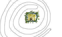 This will make you dizzy