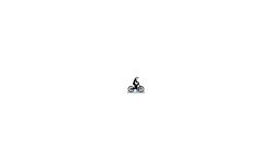 fly