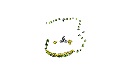 Smiley Face