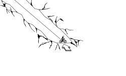 Cave