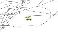 possible 2