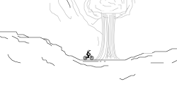 Mountain Madness