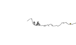 Downhill Session 4