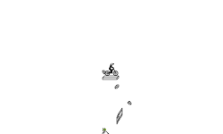 Auto Madness*