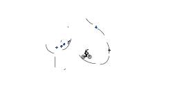 wheelie