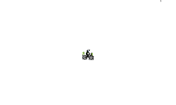 DON'T MOVE