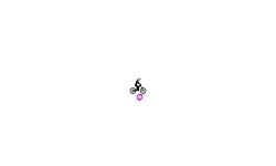 freestyler