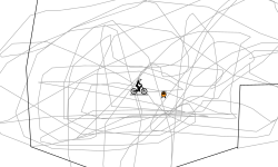 Heli