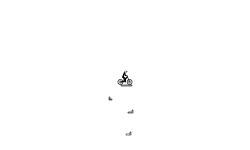 My LONGEST Auto(30 sec.)