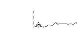 trial of the bubble floor