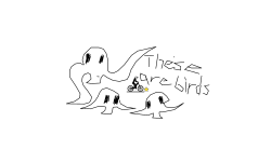 These are birds
