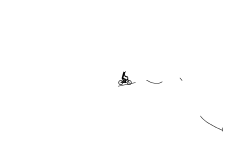 Flips And Slips
