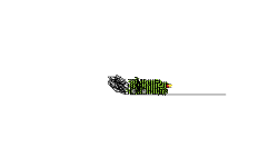 bomb donyt explode