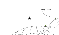 Sea Tutle