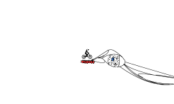 Short Track