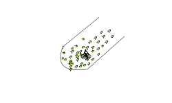 1000 stars and cannons