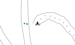 yet another heli holdup #2