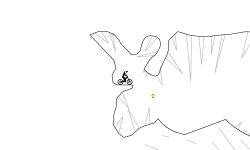 EXTREME CAVE DOWNHILL