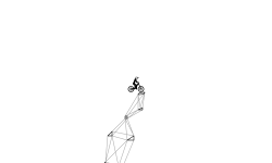 Shapes