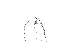 2 way auto