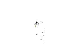 Slow Mo Auto2
