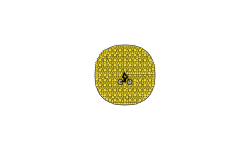 Circle of Stars
