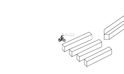 Black and White Illusions