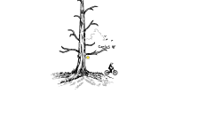 No More Nature Authors