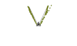 "V" auto