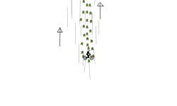 Up (auto)