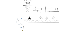 Super Free Rider Bros.