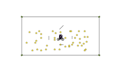 Fight spinner
