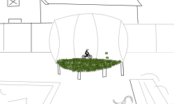 trampoline back yard