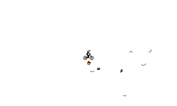 Heli Auto