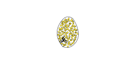 Golden goose egg