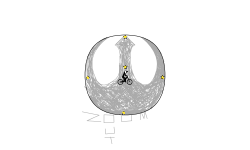 Star Wars Contest Entry