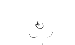 Quick lil Wheelie