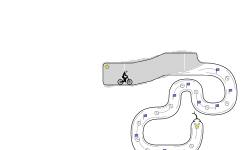 The Snake