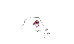 cursor