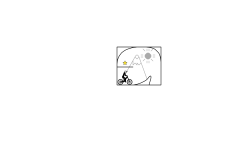 what lil box