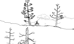 Mountaintops NTBF