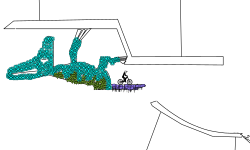 lizards