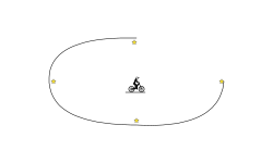 Loops