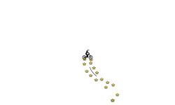 Auto 500/ 1:15:30