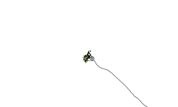 Down Hill EXTREME