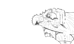 Fallen Cave