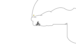 Scooter kid