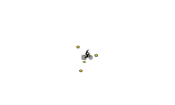 Spin spin spin